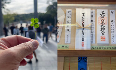 慰安旅行のすすめ