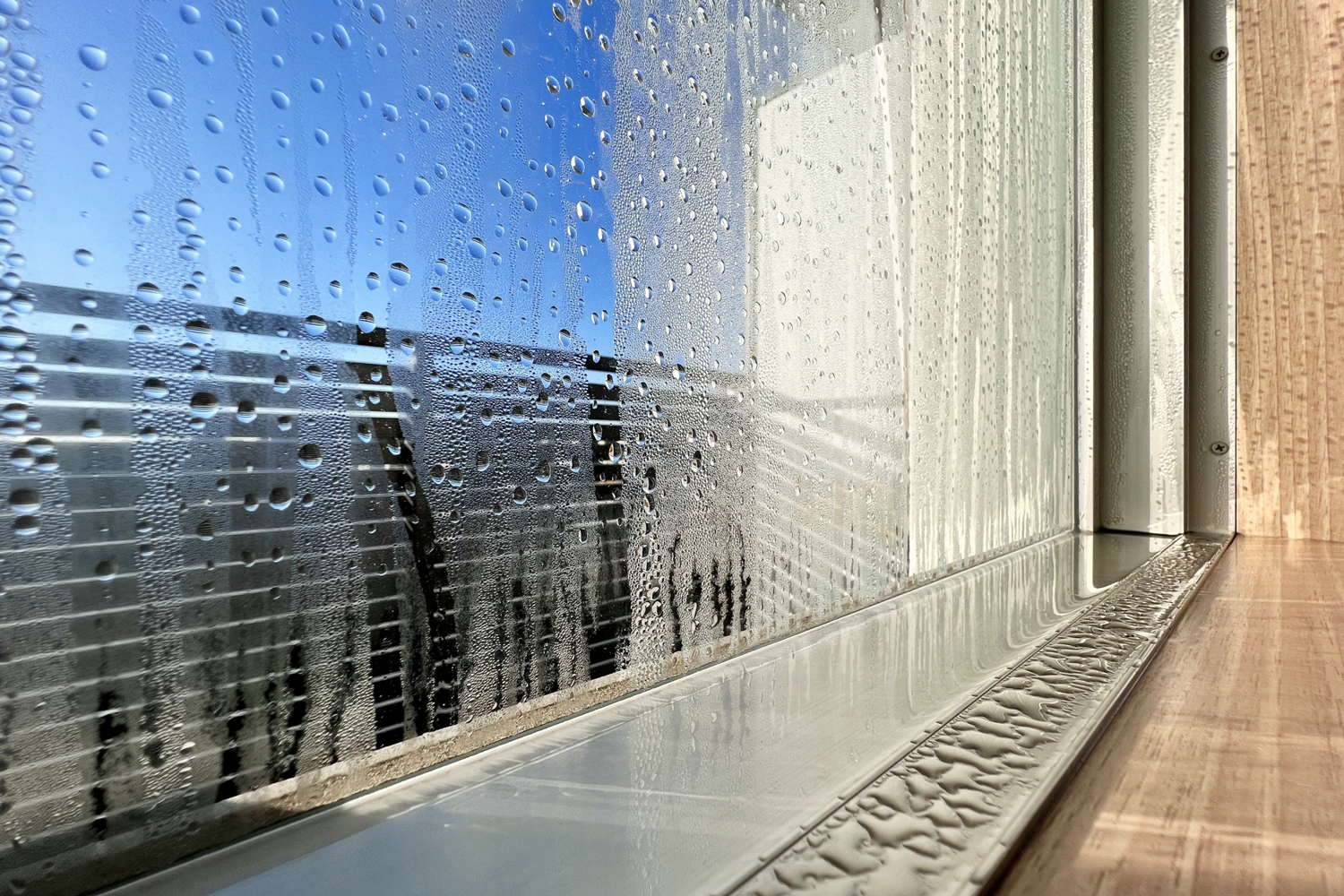 窓がびしょびしょ…「湿度・換気・断熱」で結露対策