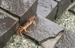 その場所での暮らし方