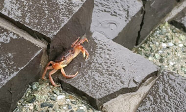 その場所での暮らし方