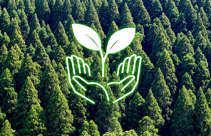 木を活かすという責任