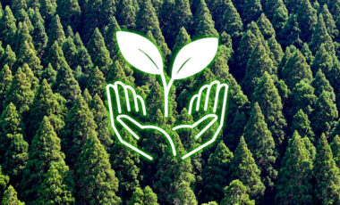 木を活かすという責任