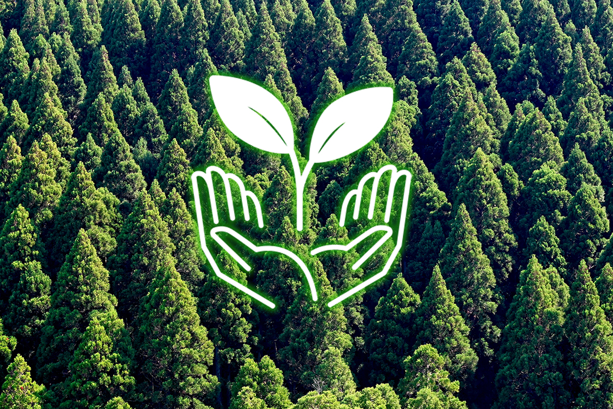 木を活かすという責任