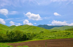 たまには立ち止まって ― 熊本の自然に癒される