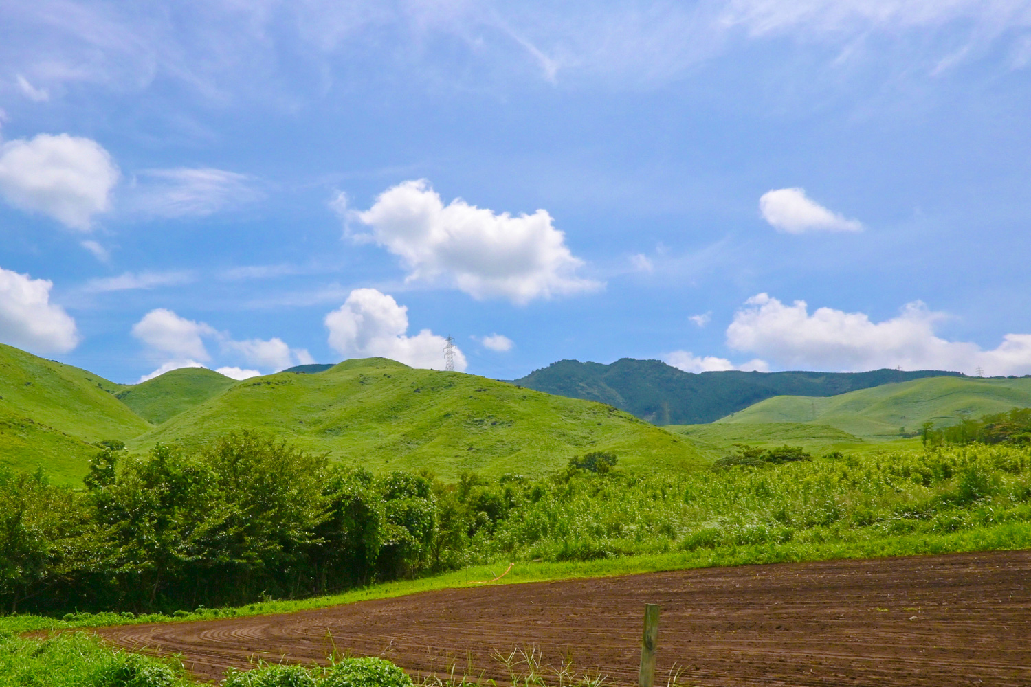 たまには立ち止まって ― 熊本の自然に癒される
