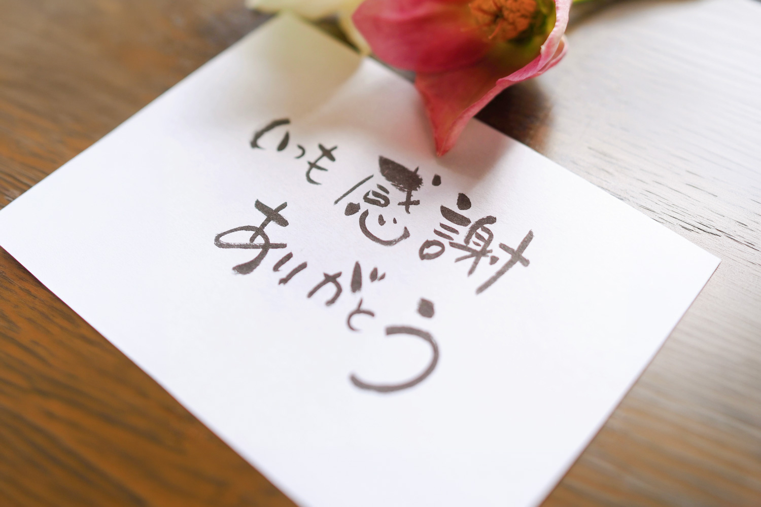 ありがとうの力